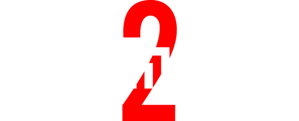 רואה החשבון 2
