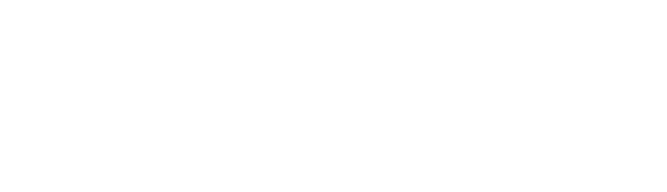 Lupul de pe Wall Street