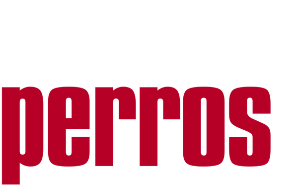 Amores Perros