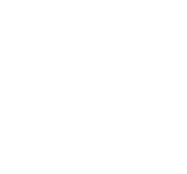 The Godfather Part II
