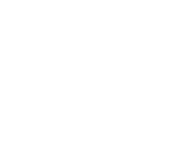 The Ritual – L’Exorcisme d’Emma Schmidt