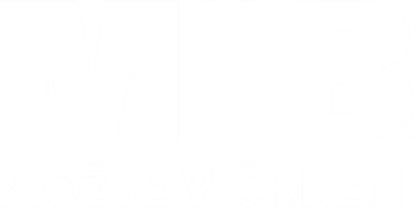Možje v črnem